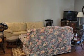 Living area - 3-bedroom house in tranquil Columbus with cool AC breeze (Columbus)