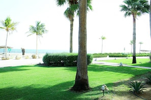 A well-maintained grassy area with palm trees, a pathway, and a view of the sea. - Modern Coastal Living (As Sifah)