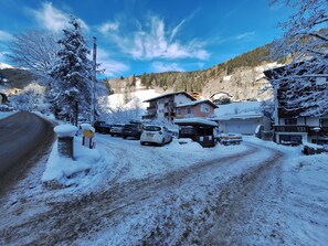 Exterior - Apartment Peacock, nahe Zentrum, am Skiweg by Interhome (Zell am See)