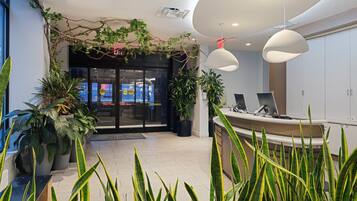 A reception area with a desk, computers, and potted plants.