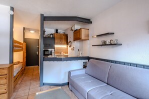 TV - Le Refuge des Silènes - Studio au pied des pistes (Mégevette)