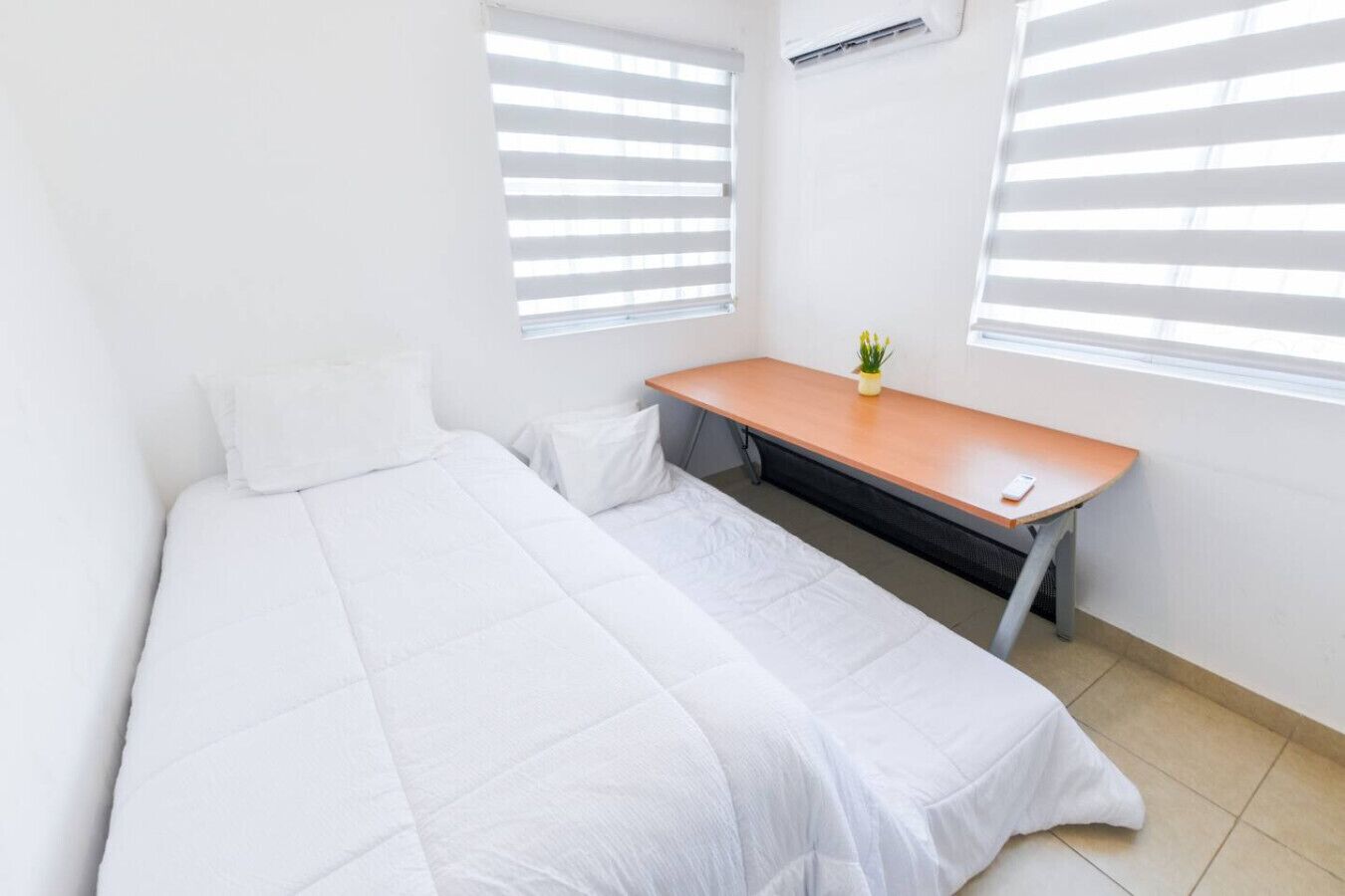 A room with a bed, a desk, and a potted plant.