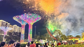 Deluxe House, Balcony, Pool View
