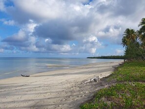 A beach with a boat, palm trees, and a clear sky. - Quiet Beachfront Hideaway - Mafia Island - 2355 (Mafia Island)