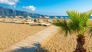 Une plage avec des chaises longues et des parasols, une promenade en bois et un palmier.