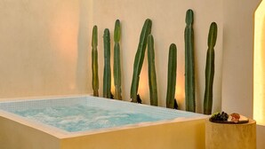 Ein Wellnessbereich mit Whirlpool und Kakteen.