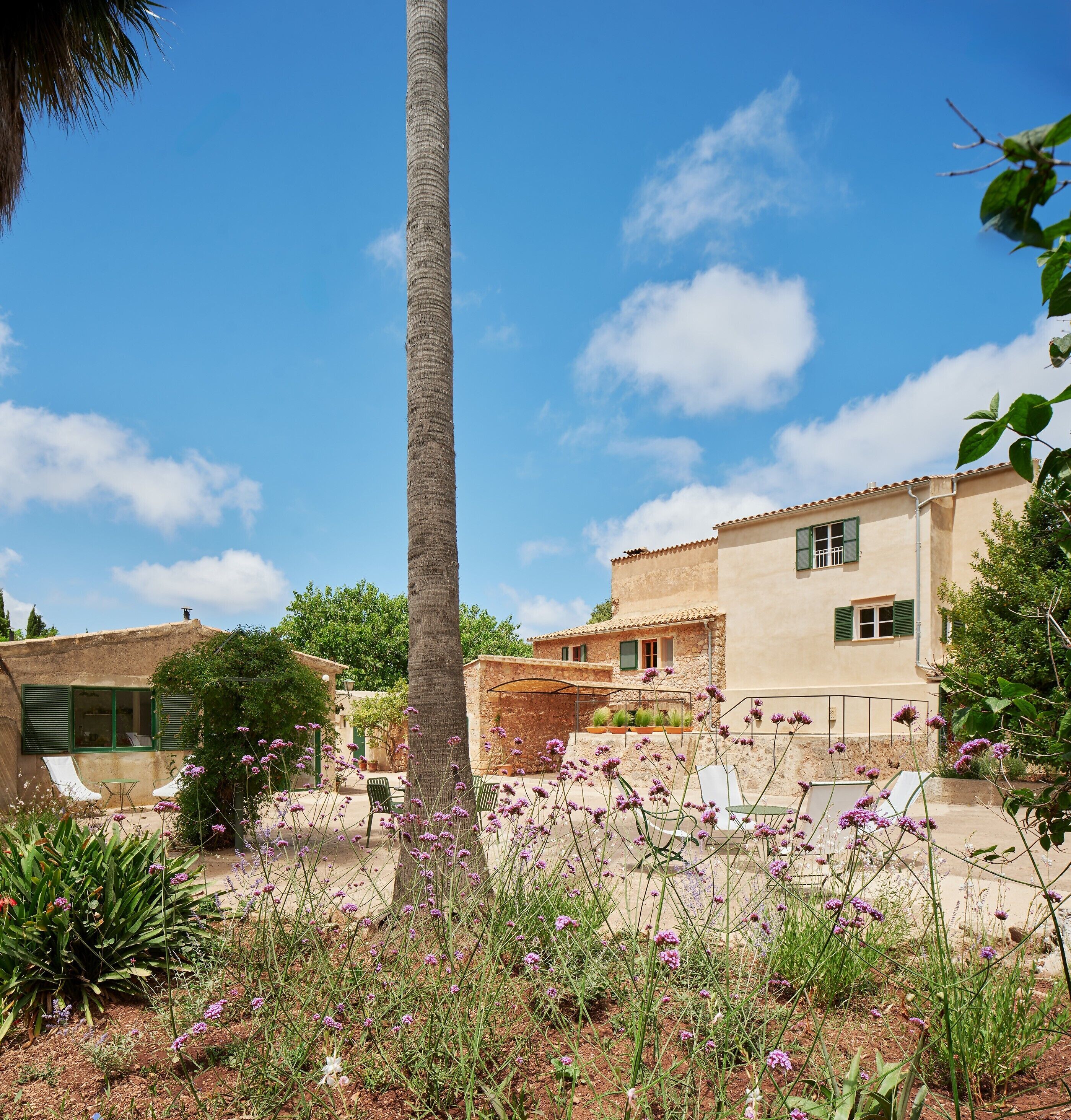 Overnattingsstedets uteområder