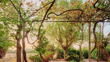 Área da propriedade