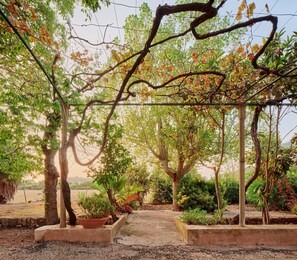 Property grounds - Holiday Home 'Sa Sinia' with Mountain View, Wi-Fi and Air Conditioning (Illes Balears)