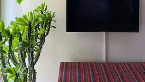 Uma sala de estar com televisão de tela plana, estantes de madeira, livros e plantas em vasos.