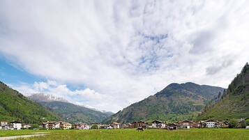 Ein ländliches Dorf mit traditionellen Häusern, einem Pferd und Bergen im Hintergrund.