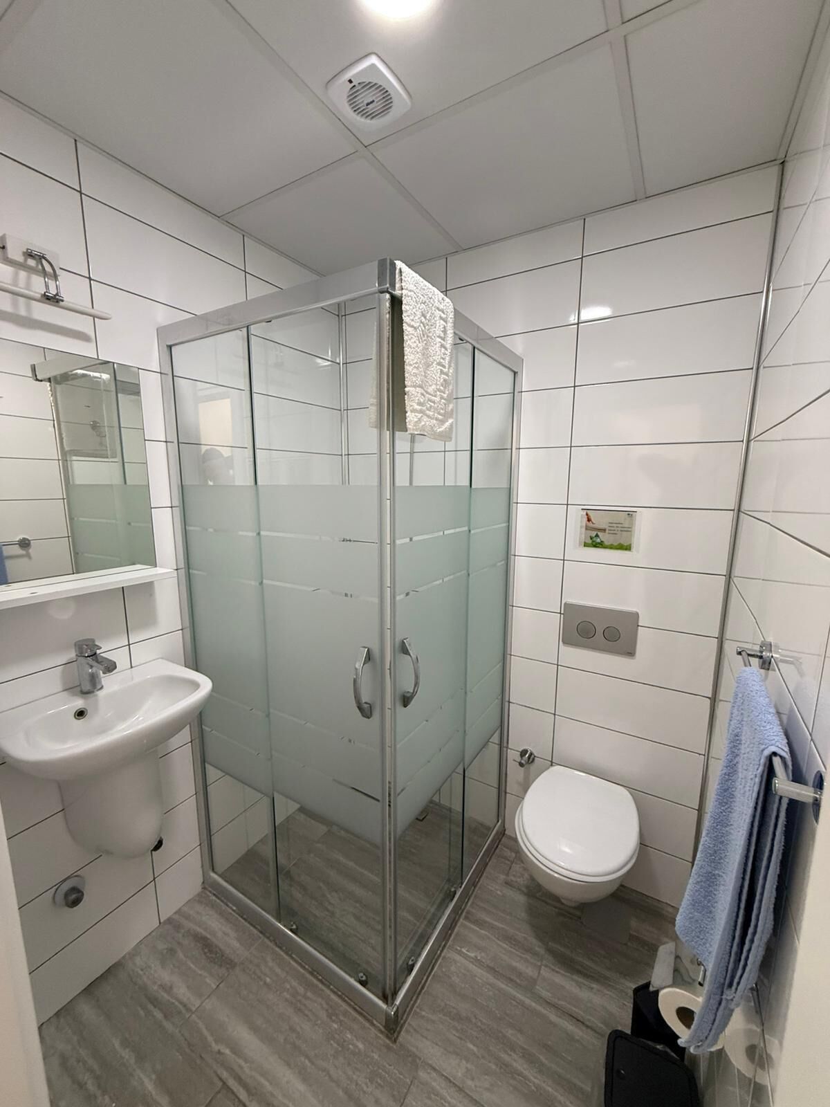 A modern bathroom with a glass-enclosed shower, a sink, a toilet, and a mirror.