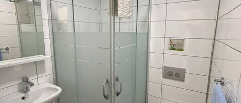 A modern bathroom with a glass-enclosed shower, a sink, a toilet, and a mirror.