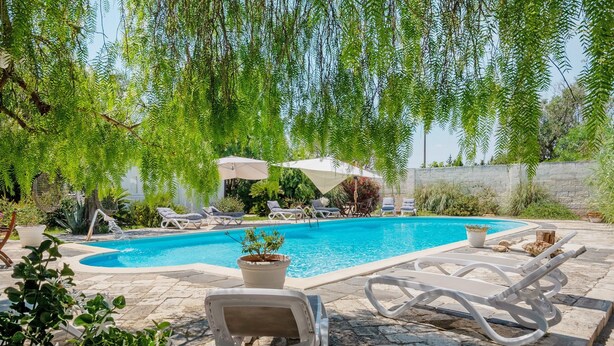 En swimmingpool med liggestole og parasoller, omgivet af grøn vegetation og stenbelagte områder.