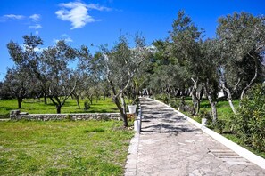 Área da propriedade