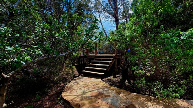 Ein steiniger Pfad führt zu einer Holztreppe, umgeben von dichtem Grün.