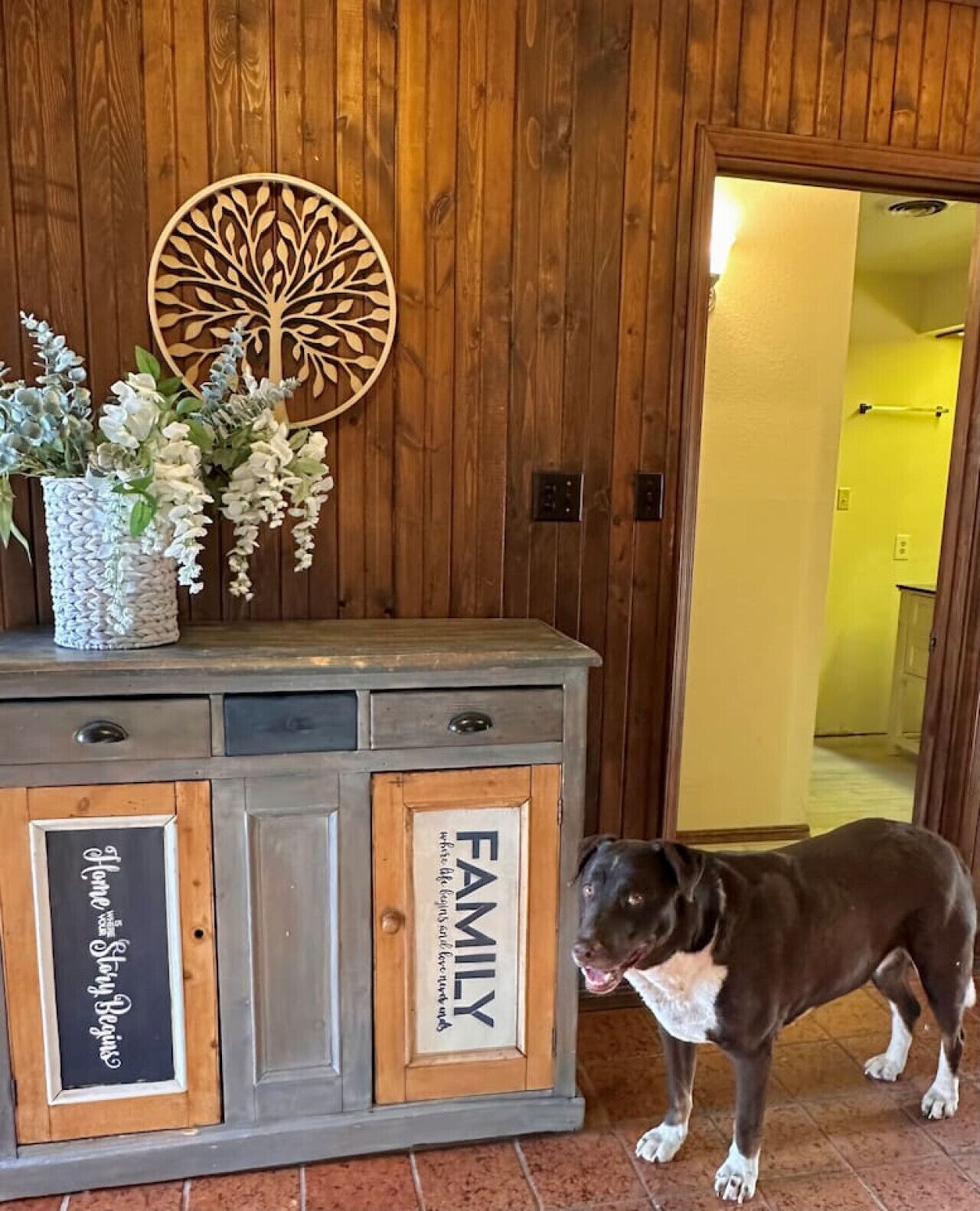 A wooden panel wall, a cabinet with a 'FAMILY' sign, and a dog standing in front of it.