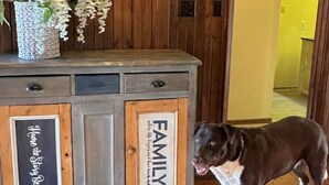 Un mur recouvert de panneaux de bois, un meuble sur lequel est apposée une plaque portant l’inscription « FAMILLE », et un chien qui se tient devant.
