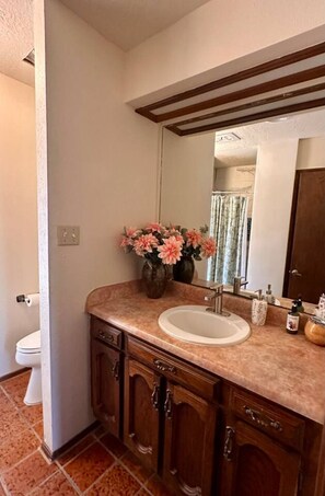 A bathroom with a sink, mirror, wooden cabinets, and a toilet. - Come for the peacocks stay for the view! (Las Cruces)