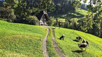 Enceinte de lâhĂ©bergement