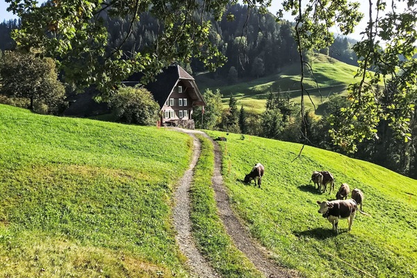 Gras, Natürliche Landschaft, Wiese, Landschaft, Weide, Ländliches Gebiet, Haus, Hütte, Hochland