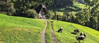 Wonderful private villa for 11 guests with WIFI, TV, patio, pets allowed and panoramic view