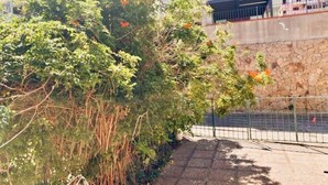 Property grounds - Del sorriso e delle rondini by Interhome (Villasimius)