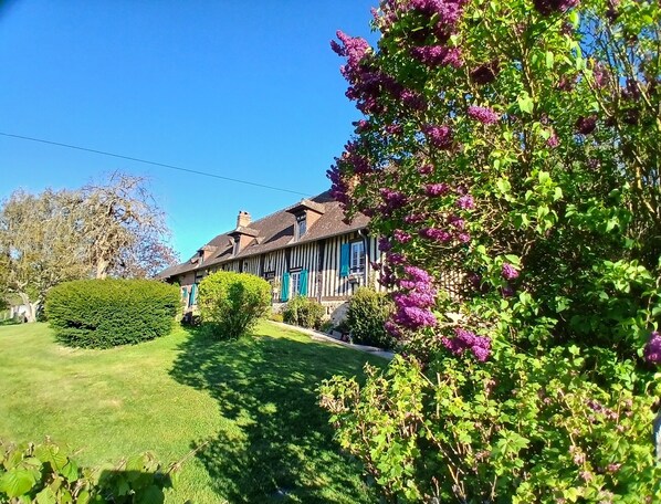 A traditional building with a symmetrical facade, a well-maintained lawn, and flowering shrubs.