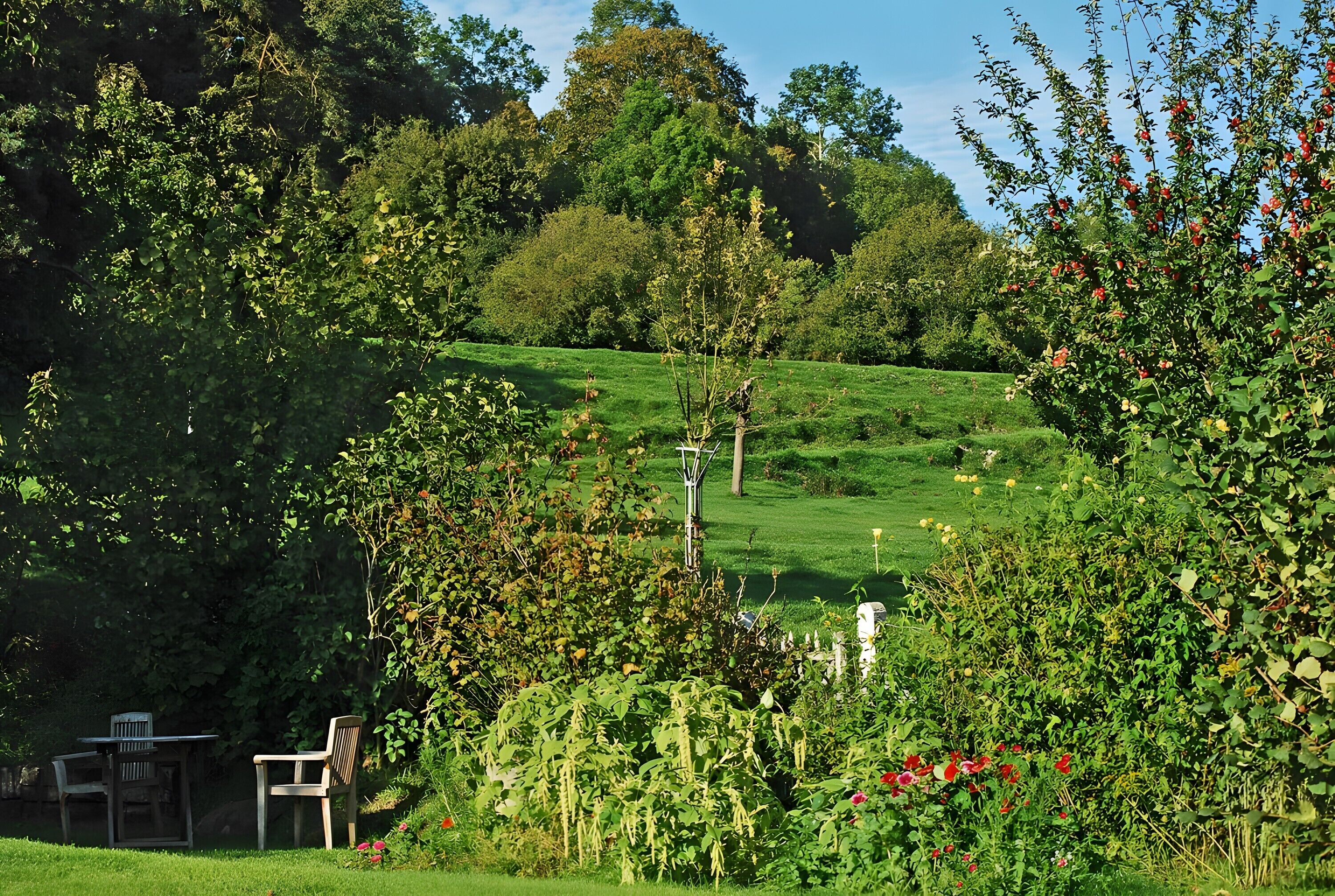 Parco della struttura