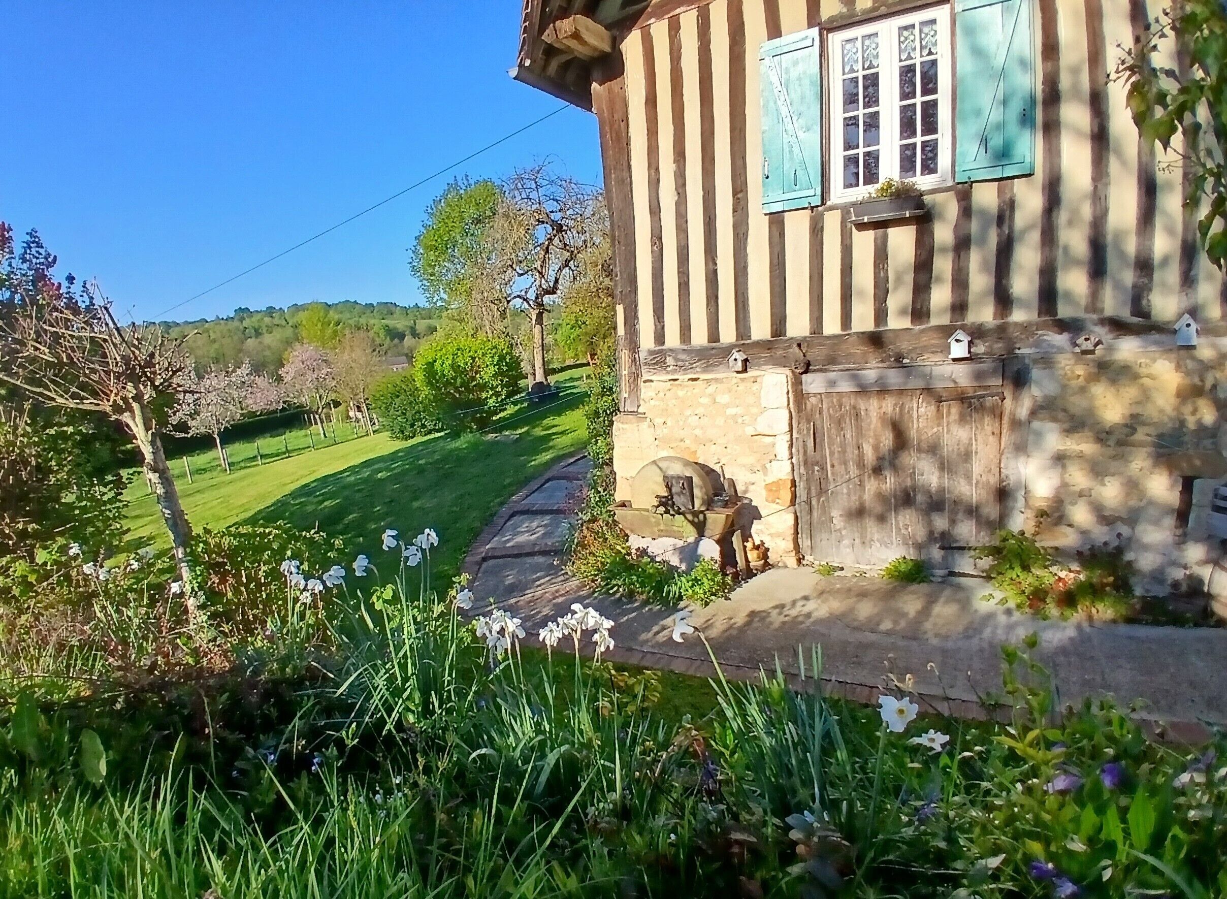 A traditional half-timbered house with a stone pathway leading to the entrance, surrounded by lush greenery and daffodils.