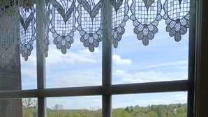 Una ventana con vistas a un paisaje verde, una cortina de encaje y un marco metálico.