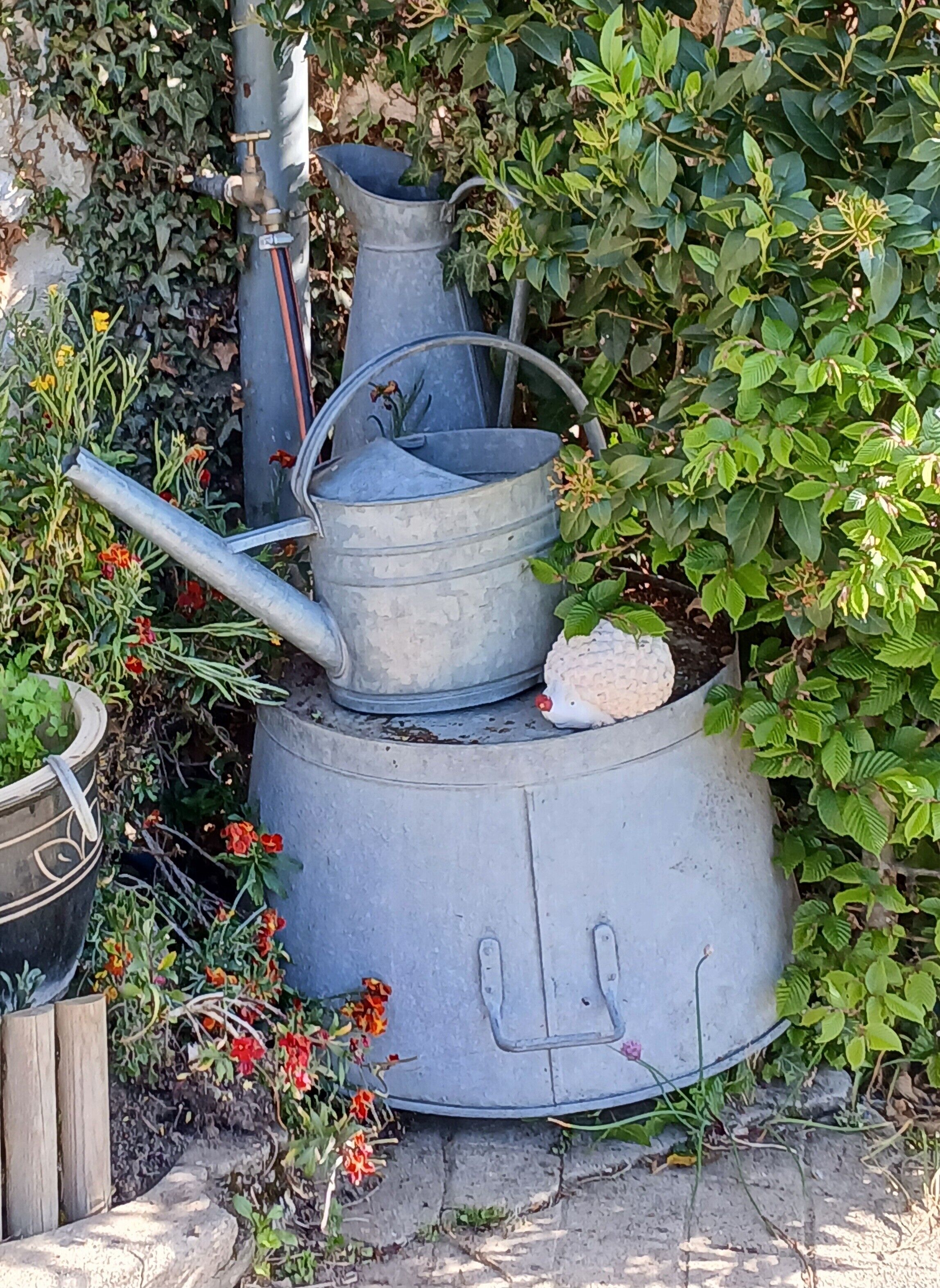 A metal water container with a spout and a handle, surrounded by greenery and flowers.