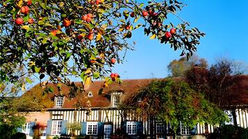Un bâtiment traditionnel à colombages, avec une fenêtre bien visible et un arbre aux fruits rouges au premier plan.