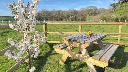 Cosy and Spacious Shepherd’s Hut for 2 . Peaceful Romantic Escape in New Forest