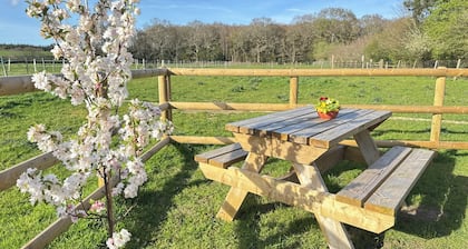 Cosy and Spacious Shepherdâs Hut for 2 . Peaceful Romantic Escape in New Forest