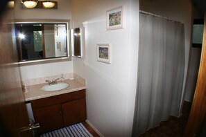 Hair dryer, towels, soap, toilet paper - 4-bedroom house overlooking Lake Norfork with AC comfort (Mountain Home)
