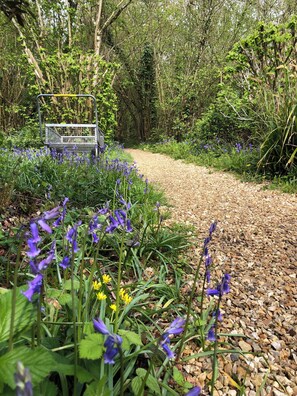 A gravel path leading through a garden with purple flowers and a metal bench.