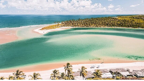 A beach with clear turquoise waters, a sandy shore, and a line of palm trees. - Casa Arembepe - Camaçari-BA (Camaçari)