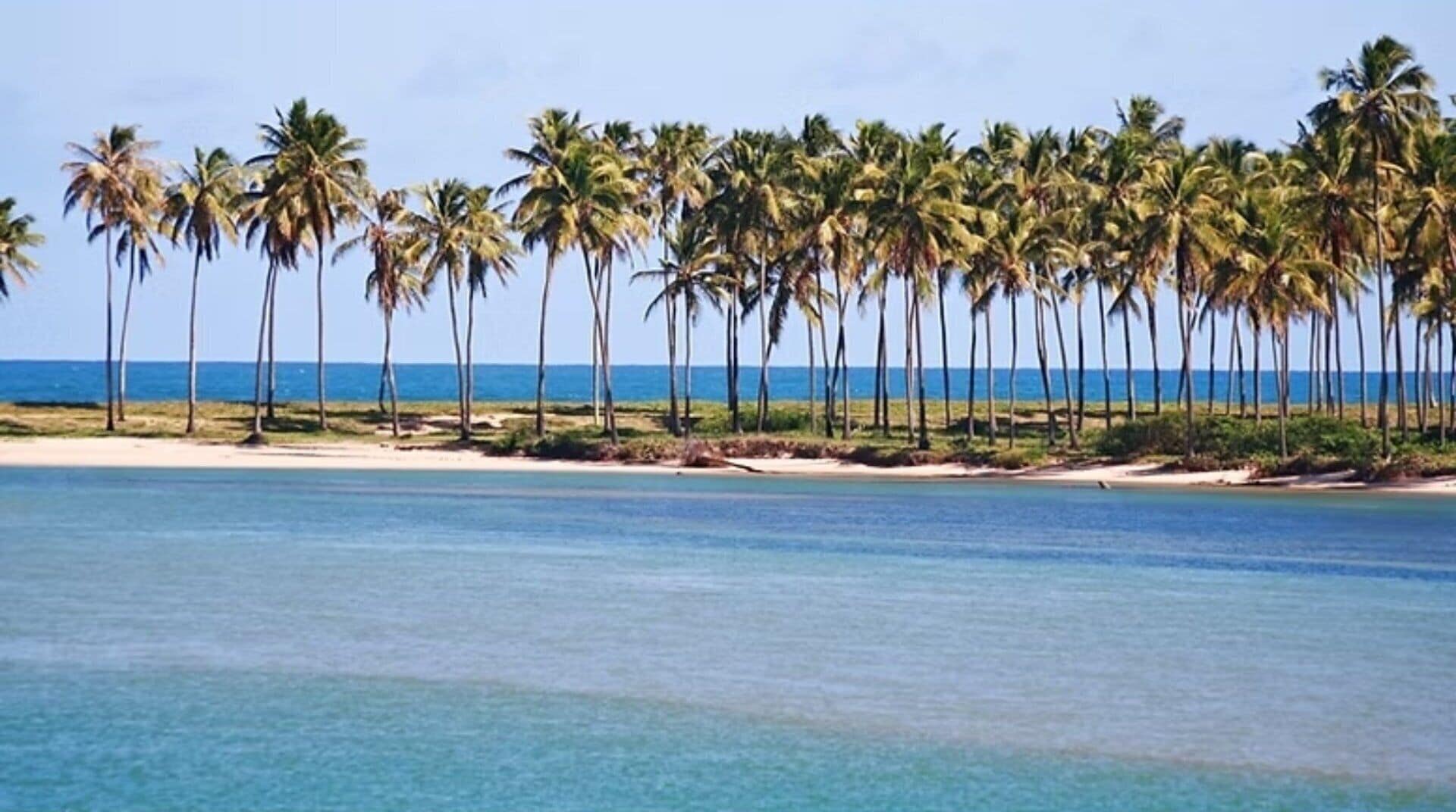 Premium House, Pool Access | Beach