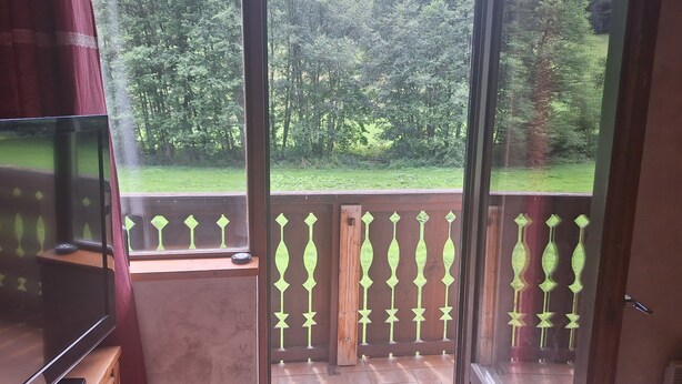 Ein Zimmer mit Fernseher auf einem Holzboden, eine Glastür, die auf einen Balkon mit Blick auf ein bewaldetes Gebiet führt.