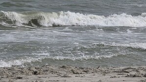 Ein Strand mit an die Küste rollenden Wellen.
