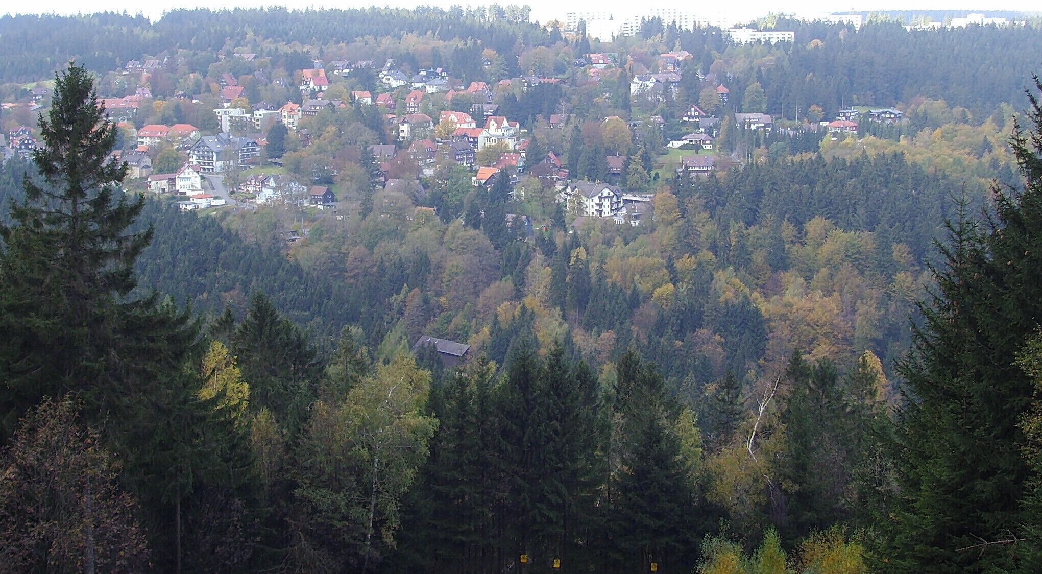 A town nestled in a forested area with a mix of residential buildings and natural scenery.