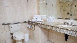 Une salle de bain équipée de toilettes, d’une barre d’appui, d’un lavabo, d’un miroir et d’un espace douche.