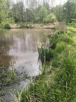 Miscellaneous - Nature Lover's Dream Oasis. Camp, Swim, Hike, Bike, Stargaze and Explore....... (Remington)