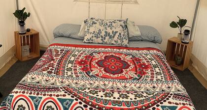 Nature Lover's Dream Oasis. Camp, Swim, Hike, Bike, Stargaze and Explore.......