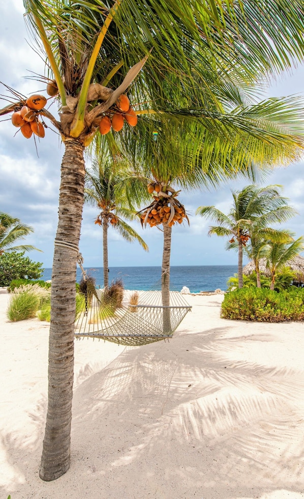 A hammock between palm trees on a sandy beach with the ocean in the background.