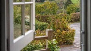 An open window with a view of a green landscape, including trees and a field. - Wheelwrights Arms (Monkton Combe)