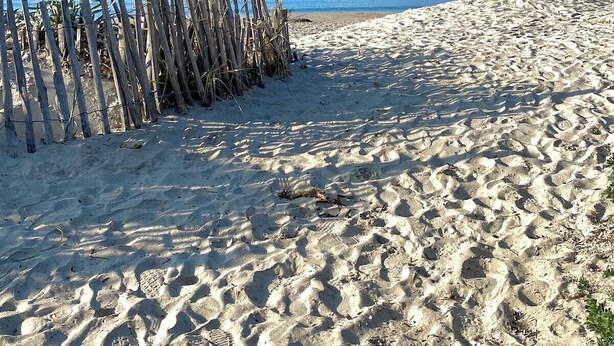 A sandy beach with a wooden fence, clear blue sky, and distant mountains. - Dream stay at Tamaris - Studio with sea view (La Seyne-sur-Mer)