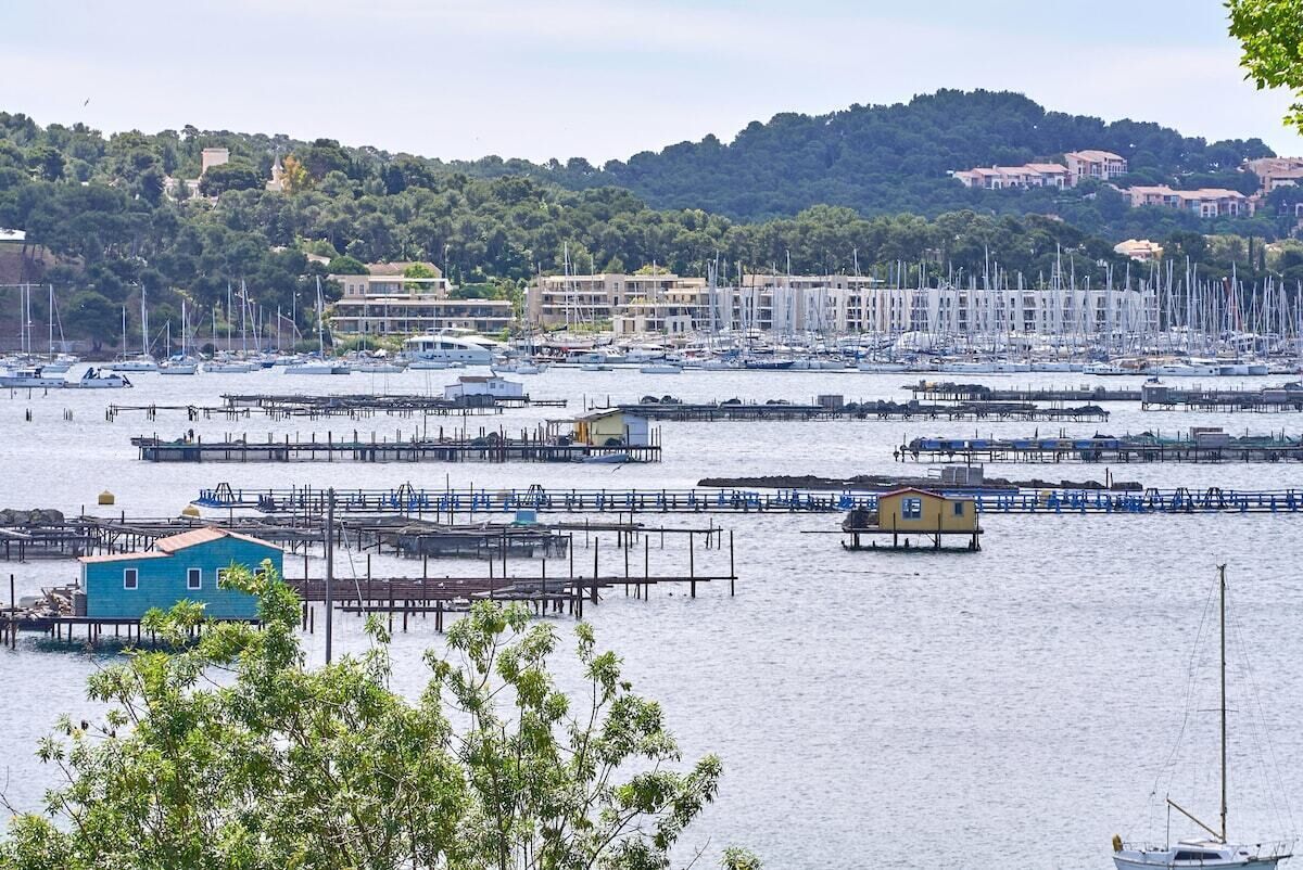 Port de plaisance