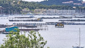 A marina with boats, docks, and buildings in the background. - Dream stay at Tamaris - Studio with sea view (La Seyne-sur-Mer)
